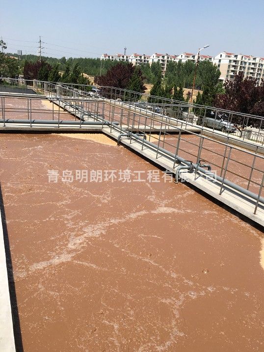 青岛天源水产食品有限公司污水处理站(图2)